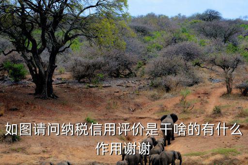 申請納稅信用復(fù)評(píng)需要什么資料，納稅信用評(píng)價(jià)的基本規(guī)范要求包括什么