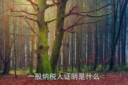 什么可以證明是一般納稅人，什么叫一般納稅人我如何辨別自己公司是否是一般納稅人