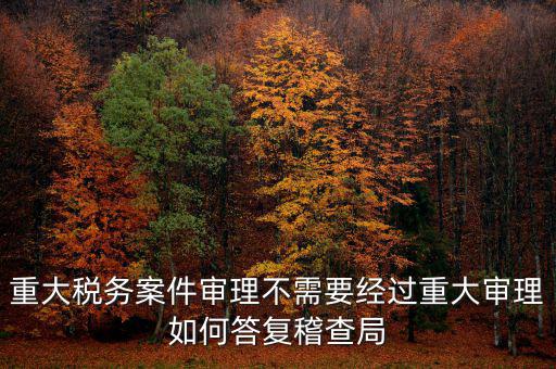 重大稅務(wù)案件審理不需要經(jīng)過重大審理如何答復(fù)稽查局