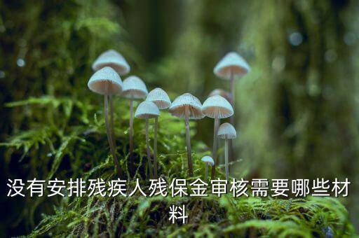 福建殘保金備案需要什么資料，求助2012年殘保金申請(qǐng)流程