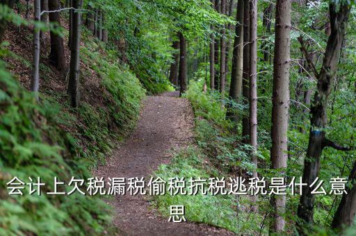 會計(jì)上欠稅漏稅偷稅抗稅逃稅是什么意思