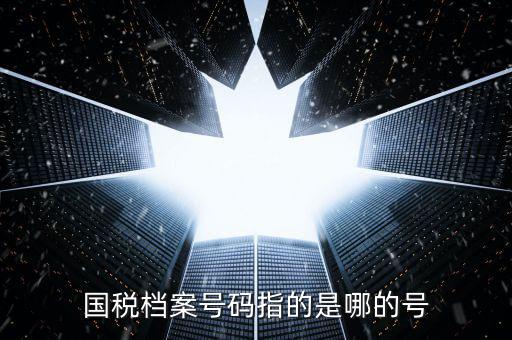 國稅號碼是什么，什么是國稅檔案號