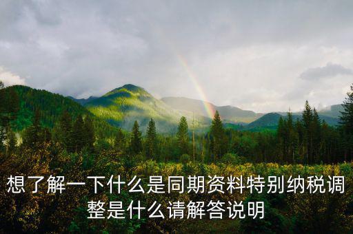 想了解一下什么是同期資料特別納稅調(diào)整是什么請解答說明