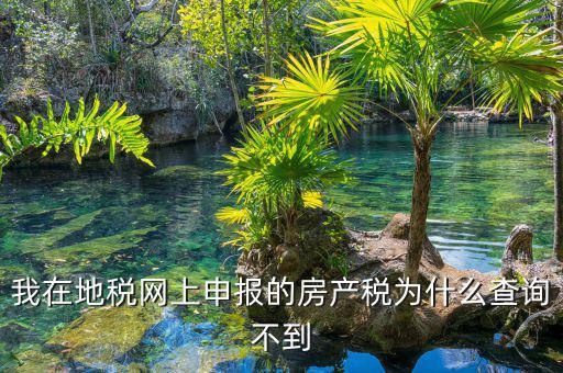 地稅申報(bào)信息查不到是什么原因，地稅報(bào)稅時(shí)提示納稅人信息不存在是怎么回事