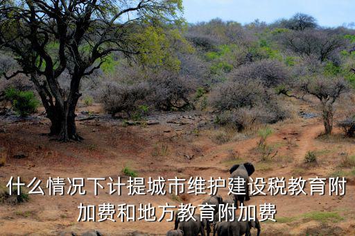 什么情況下免交地方教育稅附加，什么情況下計(jì)提城市維護(hù)建設(shè)稅教育附加費(fèi)和地方教育附加費(fèi)