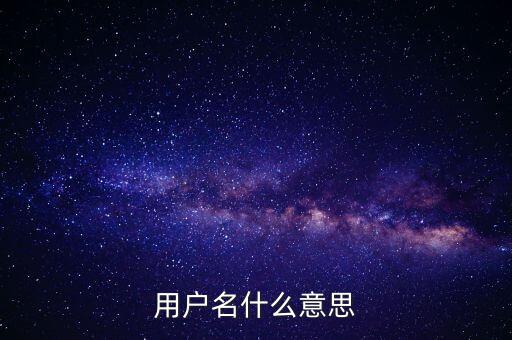 微稅用戶名是什么意思啊，用戶名什么意思