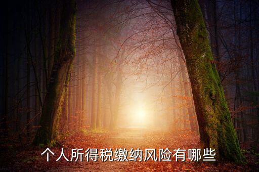 所得稅申報時有什么風(fēng)險提示，個人所得稅繳納風(fēng)險有哪些