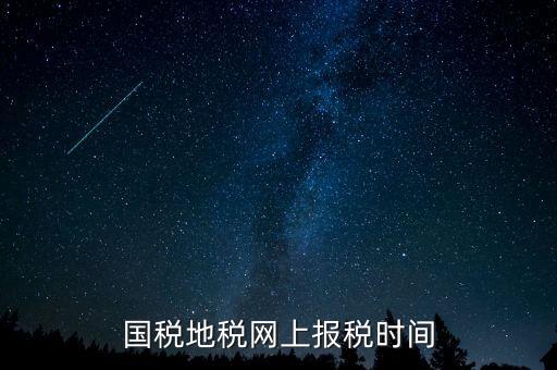 國稅地稅網上報稅時間