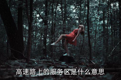 高速路上的服務(wù)區(qū)是什么意思