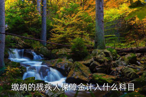 殘疾人就業(yè)保障金稅目是什么，殘疾人就業(yè)保障金應(yīng)計(jì)什么會(huì)計(jì)科目