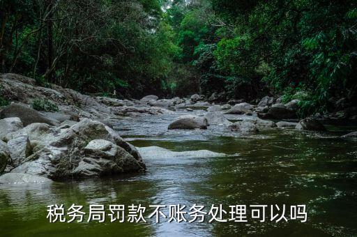 對(duì)稅務(wù)局罰款不公有什么辦法，稅務(wù)局罰款不賬務(wù)處理可以嗎