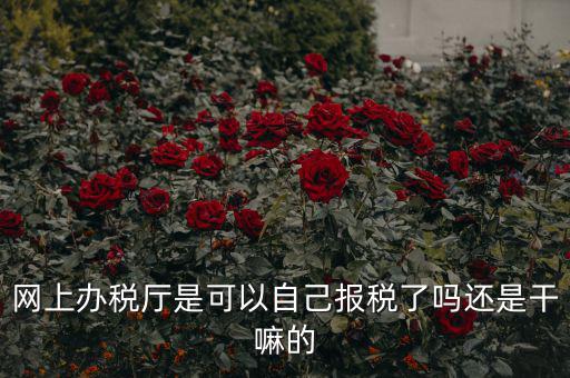 網(wǎng)上辦稅廳是可以自己報(bào)稅了嗎還是干嘛的