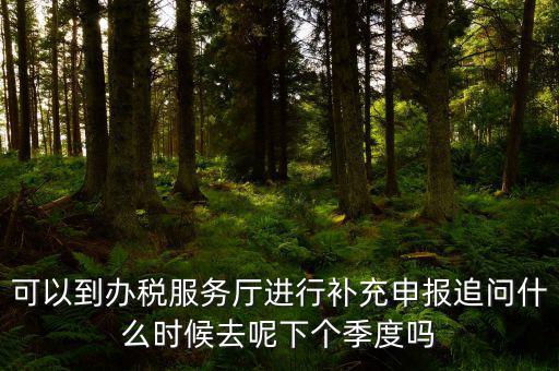 據(jù)實申報是按照什么申報，可以到辦稅服務廳進行補充申報追問什么時候去呢下個季度嗎