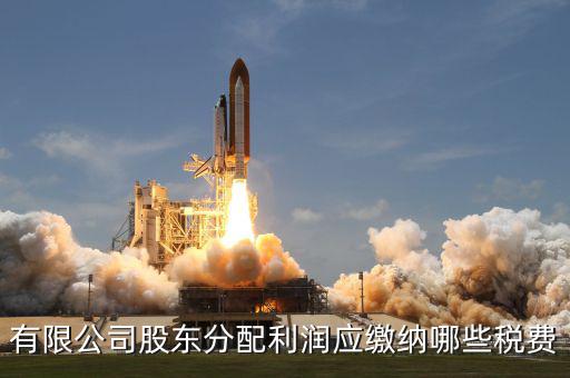 公司股東需要交什么稅，有限公司股東分配利潤應繳納哪些稅費