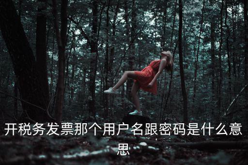 開稅務(wù)發(fā)票那個(gè)用戶名跟密碼是什么意思