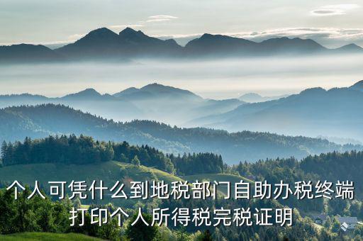 稅務局自助辦稅服務終端是什么，自助辦稅終端 報稅