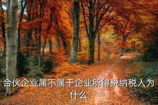 合伙企業(yè)為什么是個(gè)稅納稅人，合伙企業(yè)屬不屬于企業(yè)所得稅納稅人為什么