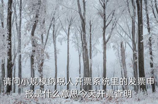 開票申報是什么原因，納稅申報出現(xiàn)的問題高手來解