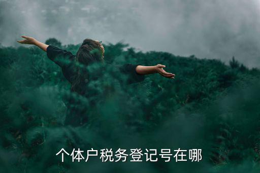 個體戶稅務(wù)登記號在哪