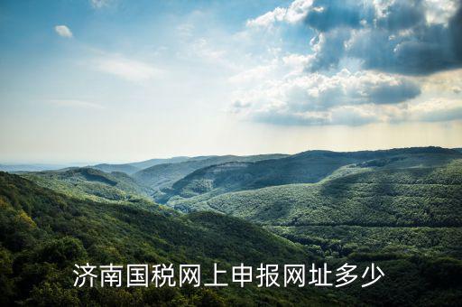 濟(jì)南國稅網(wǎng)上申報網(wǎng)址多少