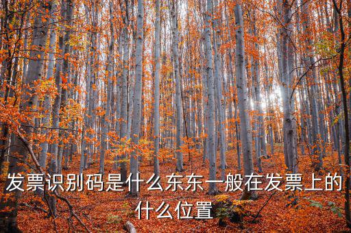 河北發(fā)票識(shí)別碼是什么意思，發(fā)票的識(shí)別碼是不是繳稅單位的稅號(hào)