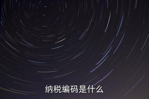 納稅編碼是什么