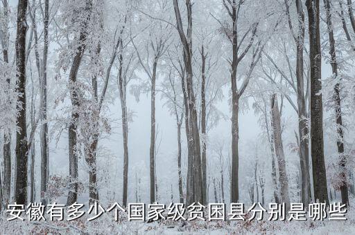 壽縣稅務(wù)局在什么地方，壽縣在什么地方