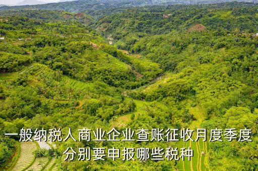 一般納稅人商業(yè)企業(yè)查賬征收月度季度分別要申報(bào)哪些稅種