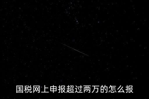 國稅網(wǎng)報入口是什么，怎樣才能進入小規(guī)模納稅人增值稅網(wǎng)上申報系統(tǒng)