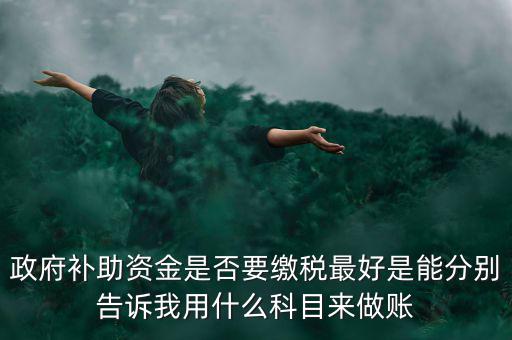 政府補(bǔ)貼交什么稅，關(guān)于政府補(bǔ)助的納稅問題 請高手來回答啊 謝謝