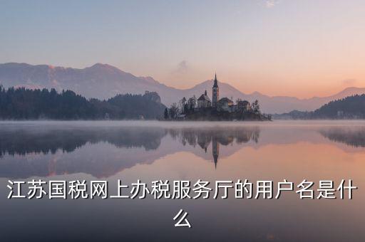 網(wǎng)上辦稅平臺帳號是什么，地稅網(wǎng)上申報用什么帳號