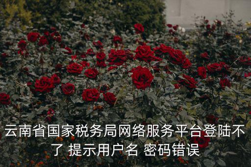 云南稅控服務(wù)平臺(tái)的網(wǎng)址是什么，云南國(guó)稅開(kāi)票系統(tǒng)網(wǎng)址