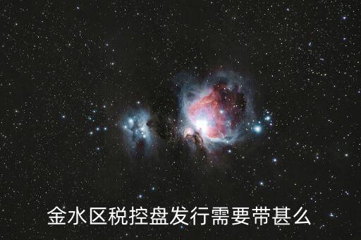 金水區(qū)稅控盤(pán)發(fā)行需要帶甚么