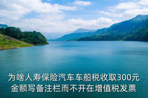 為啥人壽保險(xiǎn)汽車車船稅收取300元金額寫備注欄而不開(kāi)在增值稅發(fā)票