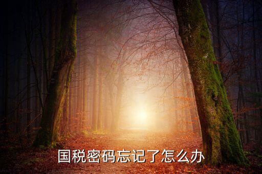 國稅局重置密碼需要帶什么資料，國稅修改過登錄密碼 又忘記了怎么辦