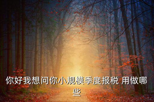 你好我想問你小規(guī)模季度報(bào)稅 用做哪些
