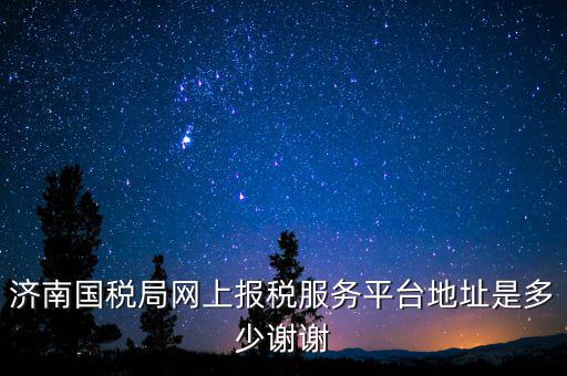 濟(jì)南國稅局網(wǎng)上報稅服務(wù)平臺地址是多少謝謝