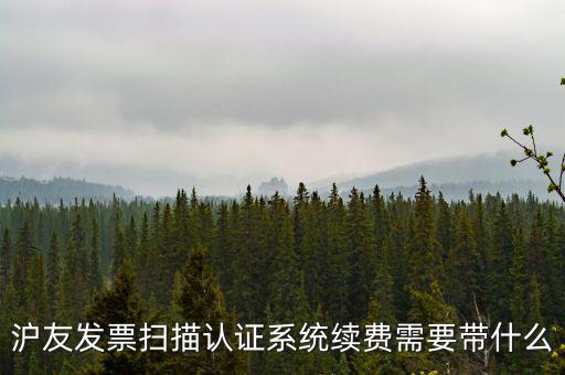 滬友發(fā)票掃描認證系統(tǒng)續(xù)費需要帶什么
