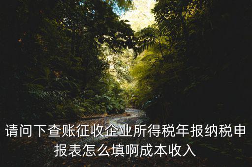 企業(yè)所得稅申報查賬是什么表，剛注冊了一個小規(guī)模的公司企業(yè)所得稅是查帳征收企業(yè)所得稅報表