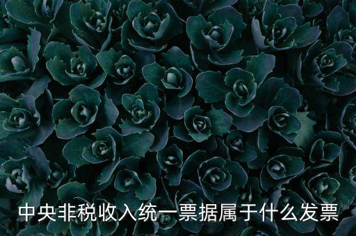 非稅發(fā)票是什么，中央非稅收入統(tǒng)一票據(jù)屬于什么發(fā)票