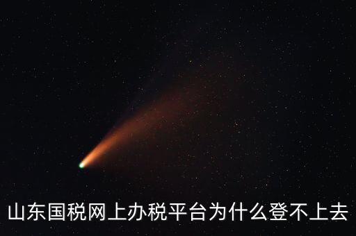 山東國稅網上辦稅平臺為什么登不上去
