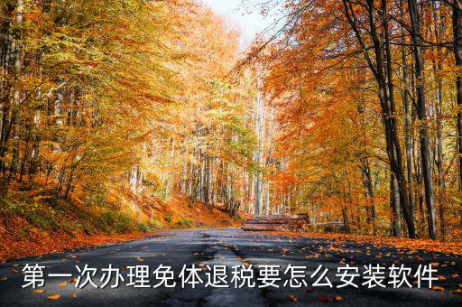 第一次辦理免體退稅要怎么安裝軟件