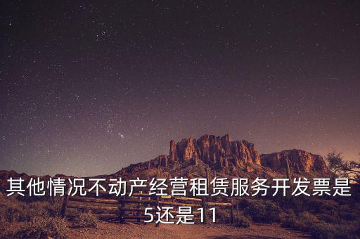 其他情況不動(dòng)產(chǎn)經(jīng)營(yíng)租賃服務(wù)開(kāi)發(fā)票是5還是11