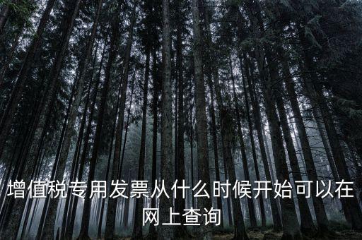 增值稅專(zhuān)用發(fā)票從什么時(shí)候開(kāi)始可以在網(wǎng)上查詢(xún)