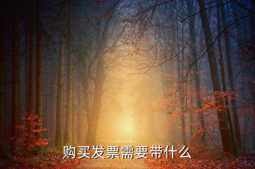 長(zhǎng)春購(gòu)置發(fā)票需要什么資料，初次購(gòu)買(mǎi)發(fā)票要什么資料