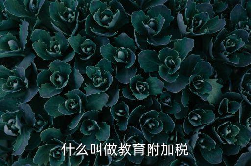 教育附加什么意思，教育費附加代表什么意思