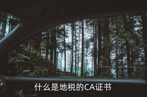 什么叫地稅CA用戶，什么是CA用戶