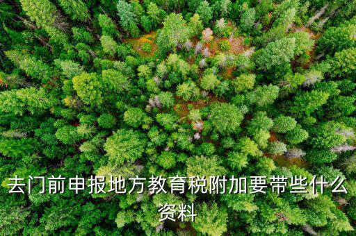 附加稅申報(bào)需要什么材料，去地稅局繳納營業(yè)稅金及附加需要帶什么資料