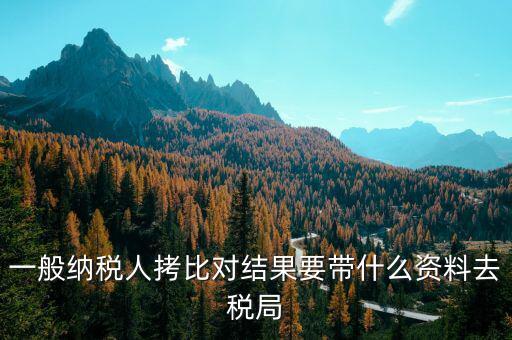 去稅務(wù)拷初始化文件帶什么東西，一般納稅人拷比對結(jié)果要帶什么資料去稅局
