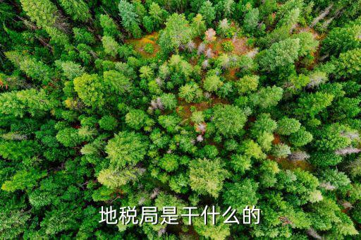 地稅主要負責(zé)什么工作總結(jié)，地稅局一般做什么工作啊